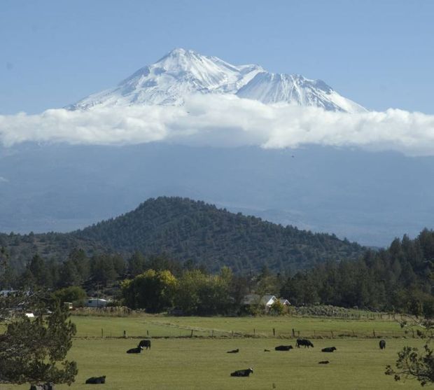 Mt. Shasta snow